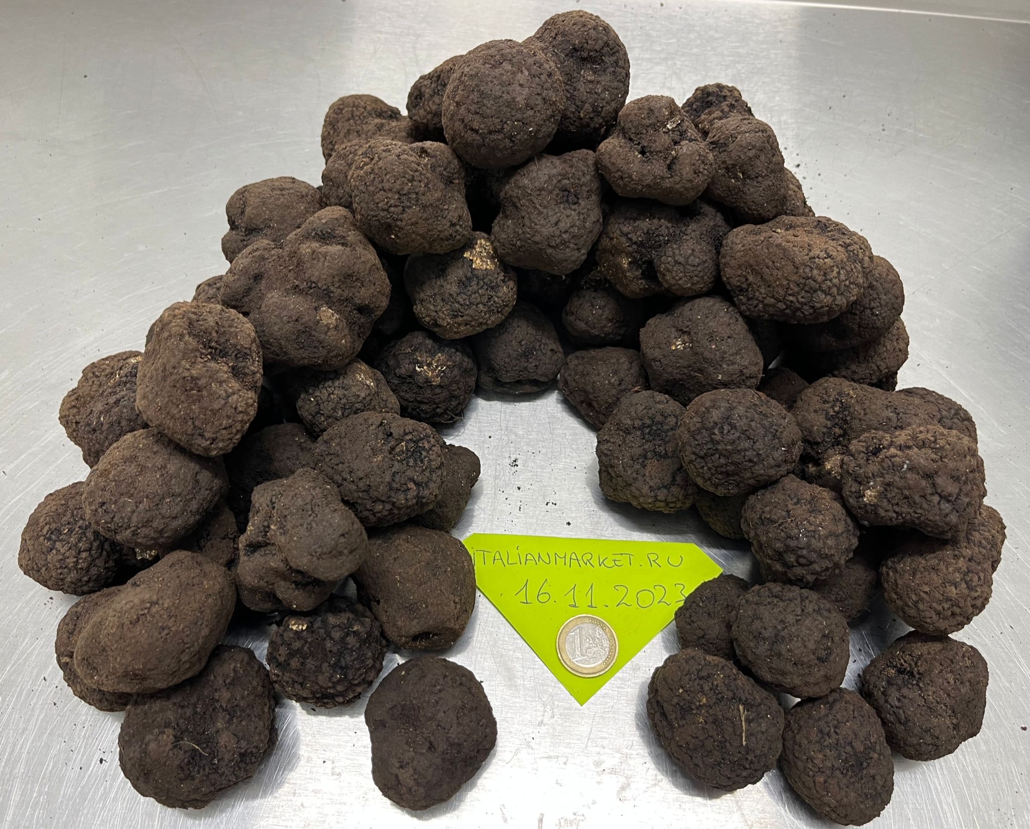 Taze Siyah Bagnoli Trüf Mantarı (Tuber Mesentericum)