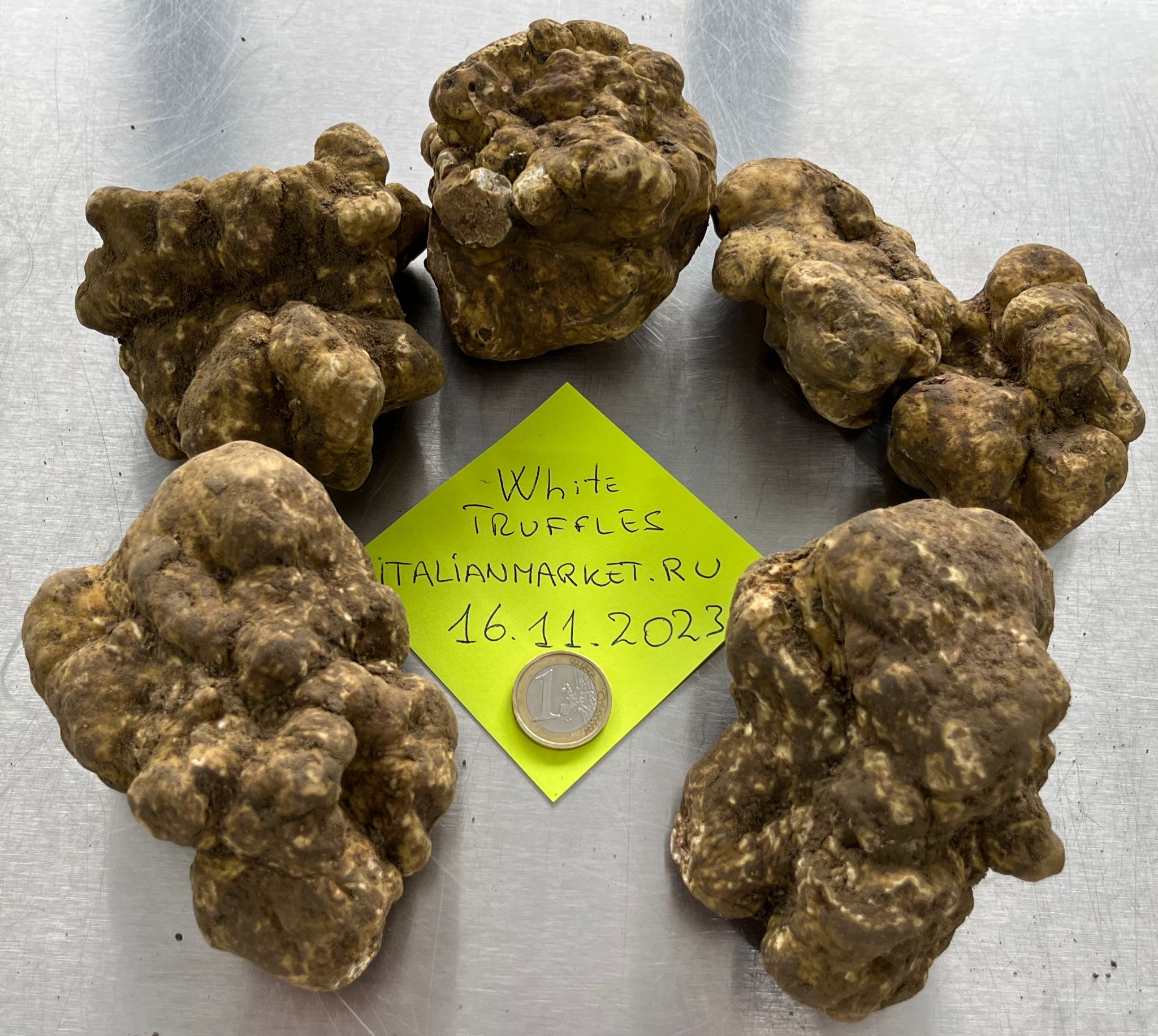 Taze Beyaz Trüf Mantarı (Tuber Magnatum)