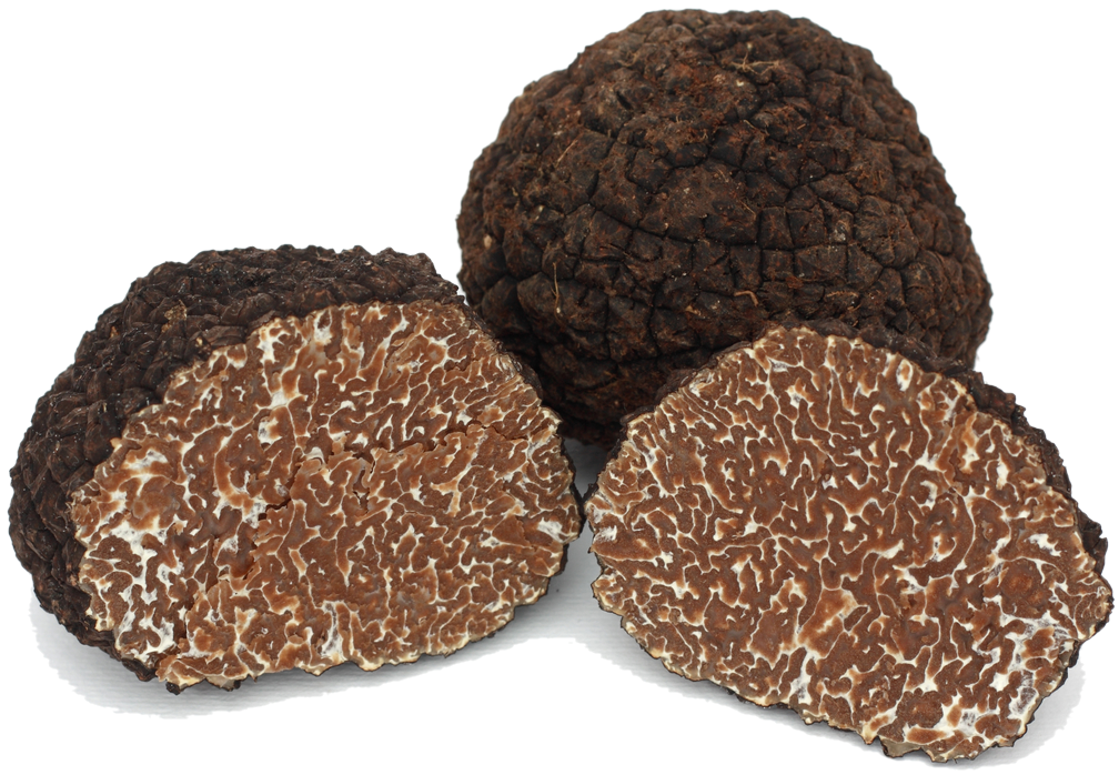 Taze Siyah Sonbahar Trüf Mantarı (Tuber Uncinatum)