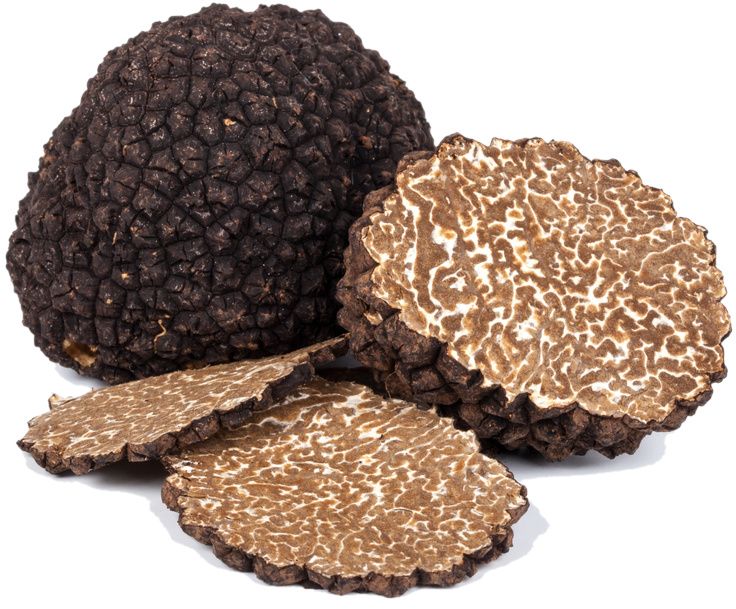 Taze Siyah Yaz Trüf Mantarı (Tuber Aestivum)