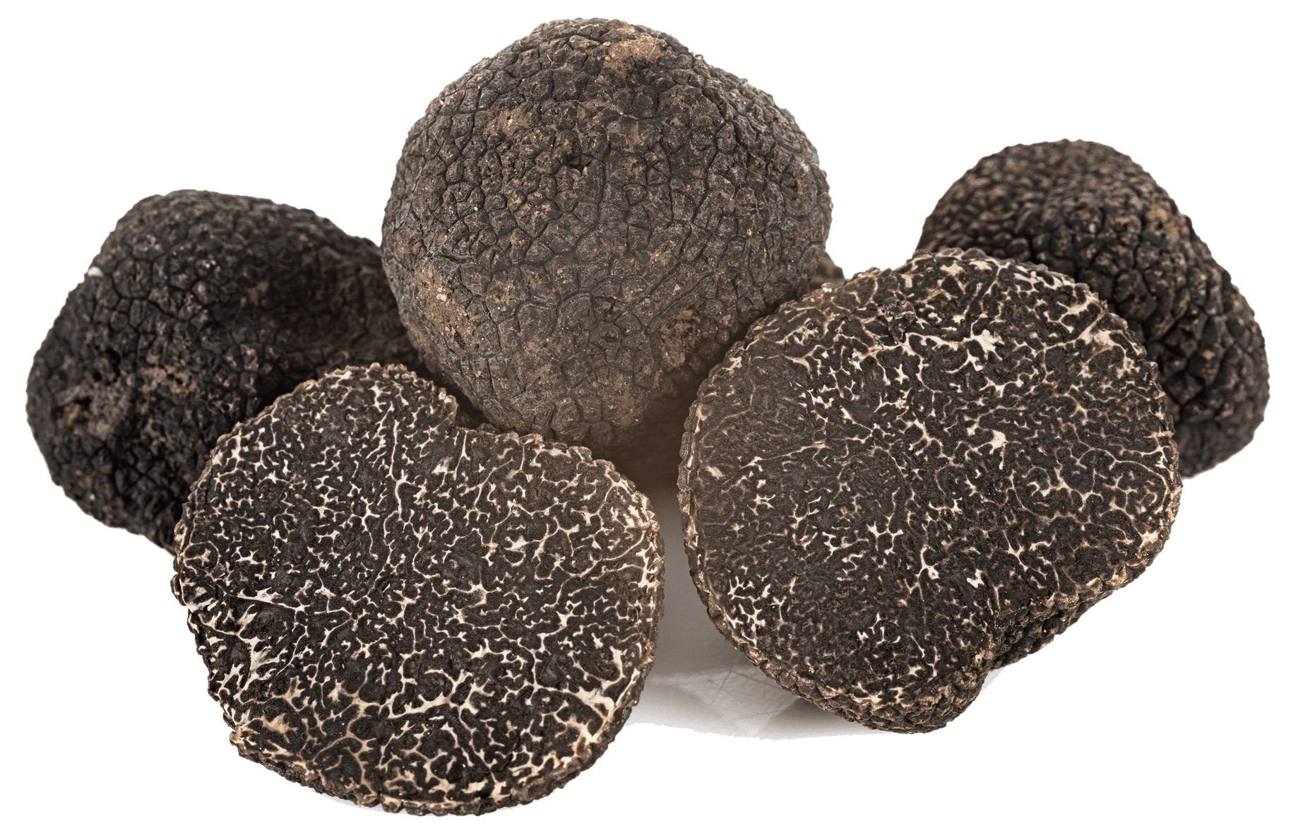 Taze Siyah Périgord Trüf Mantarı (Tuber Melanosporum)