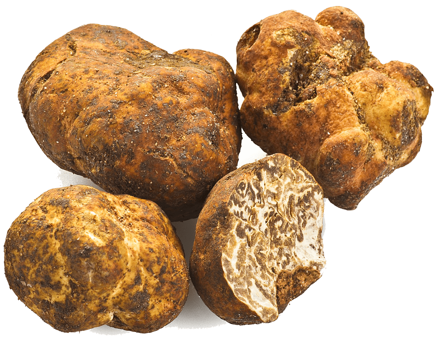 Taze Beyaz Bianchetto Trüf Mantarı (Tuber Borchii)